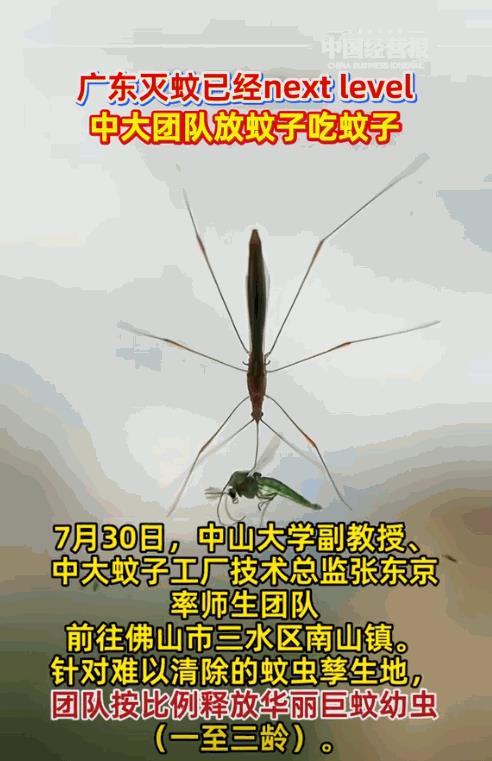 “解释不清了！”广东为了应对基孔肯雅热，中山大学的副教授，直接带领着自己的学生团