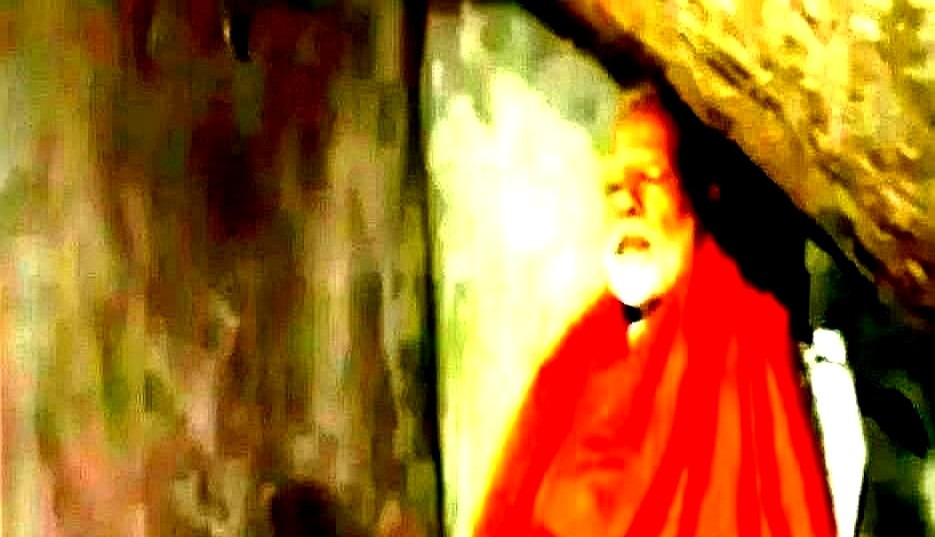 印度牛掰：骂我一句试试！











---











哎
