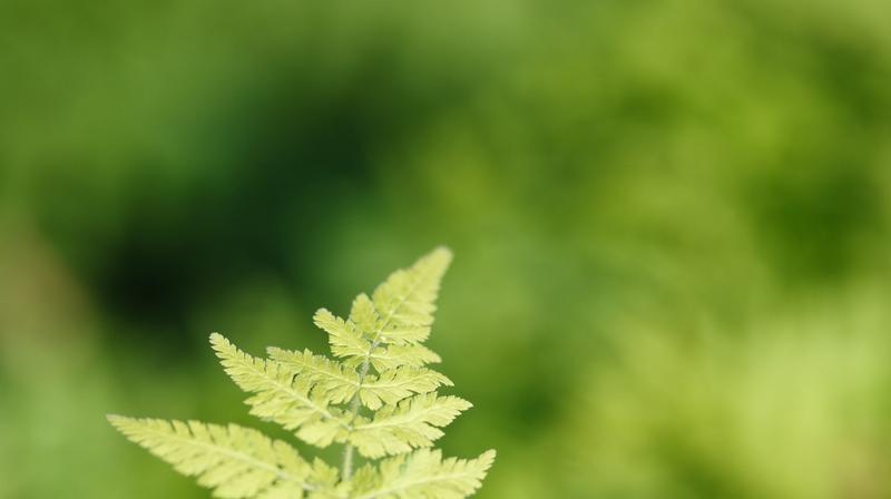 很通透的一段话：
“饿时馒头贵，饱时玫瑰香。
这个世上根本没有最重要的东西，只有