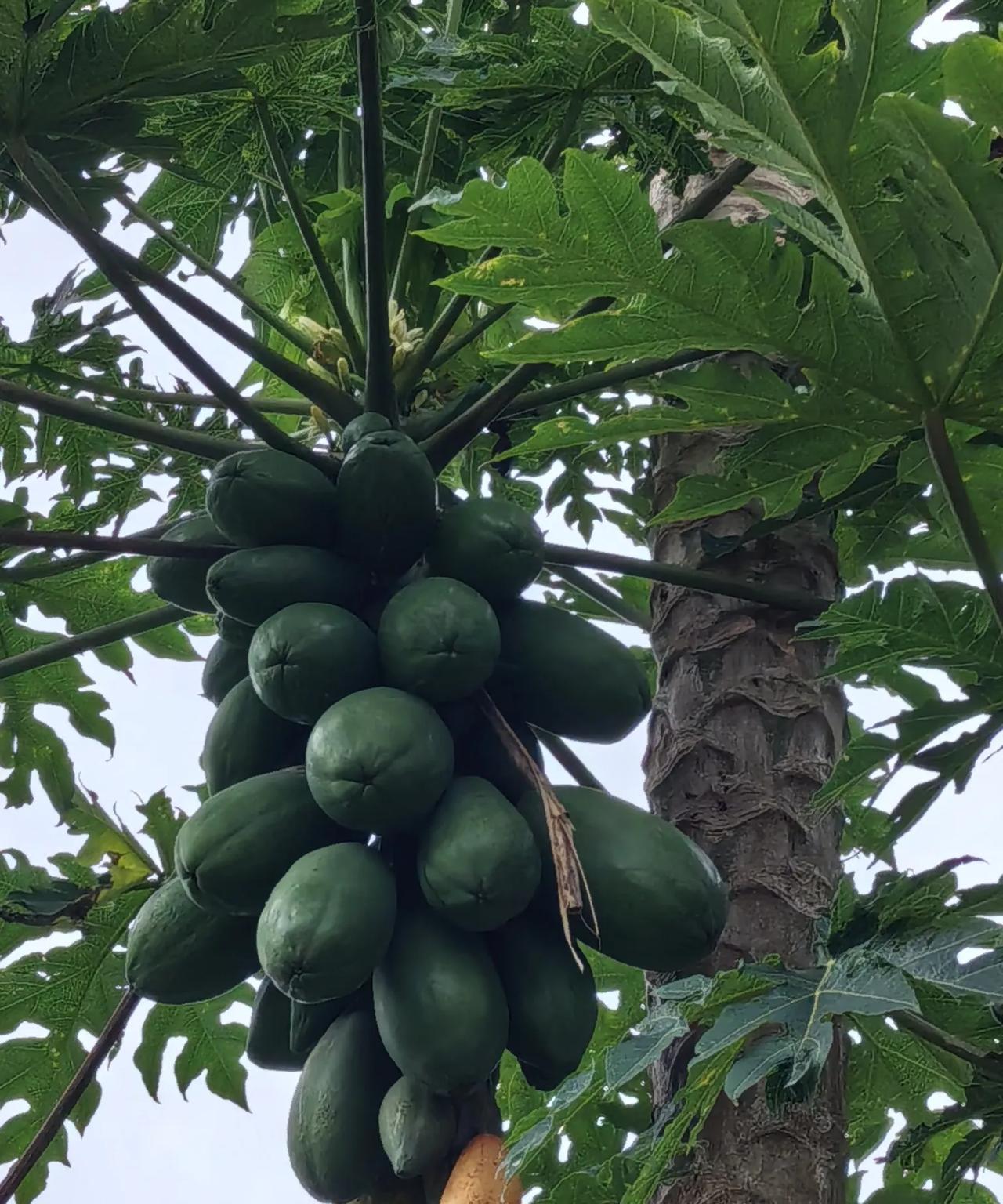 老乡的遗憾
老乡近六十了，工作好，经济状况好，几乎一切都不错。
但是，什么人都有
