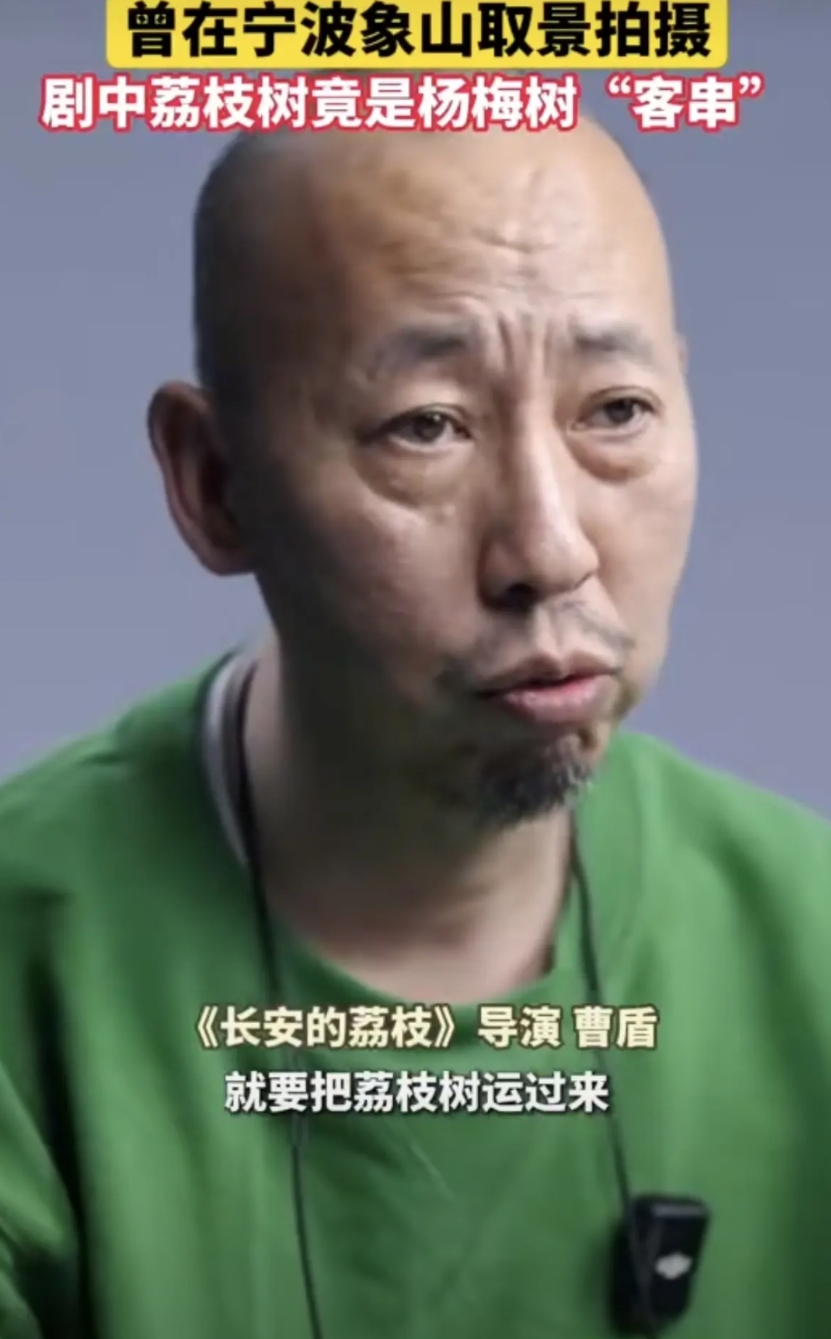 《长安的荔枝》又出问题了！
导演曹盾亲自承认，如果要拍荔枝树，就需要将荔枝树运到