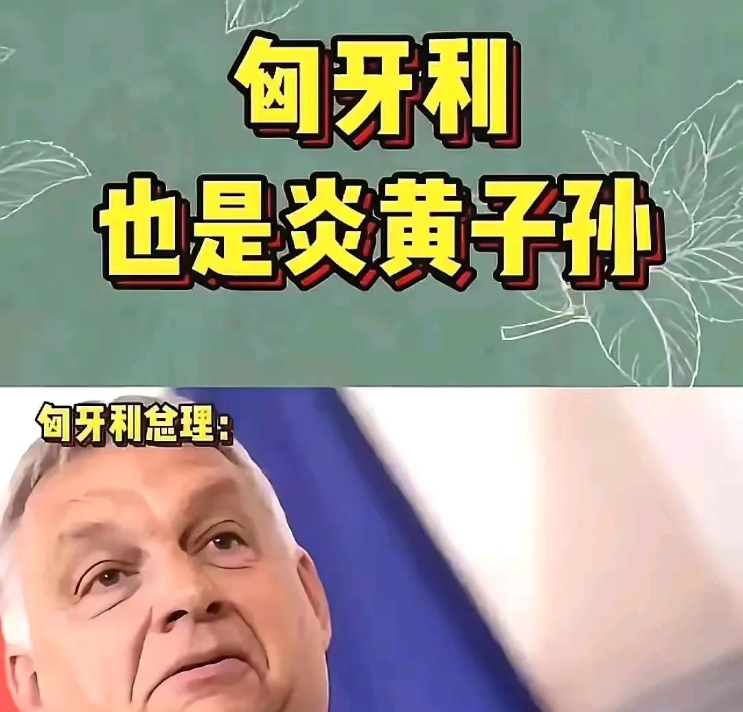 重磅消息！匈牙利太刚了！
没想到，跟我们最铁的成了匈牙利，他们竟然顶着美国和欧盟