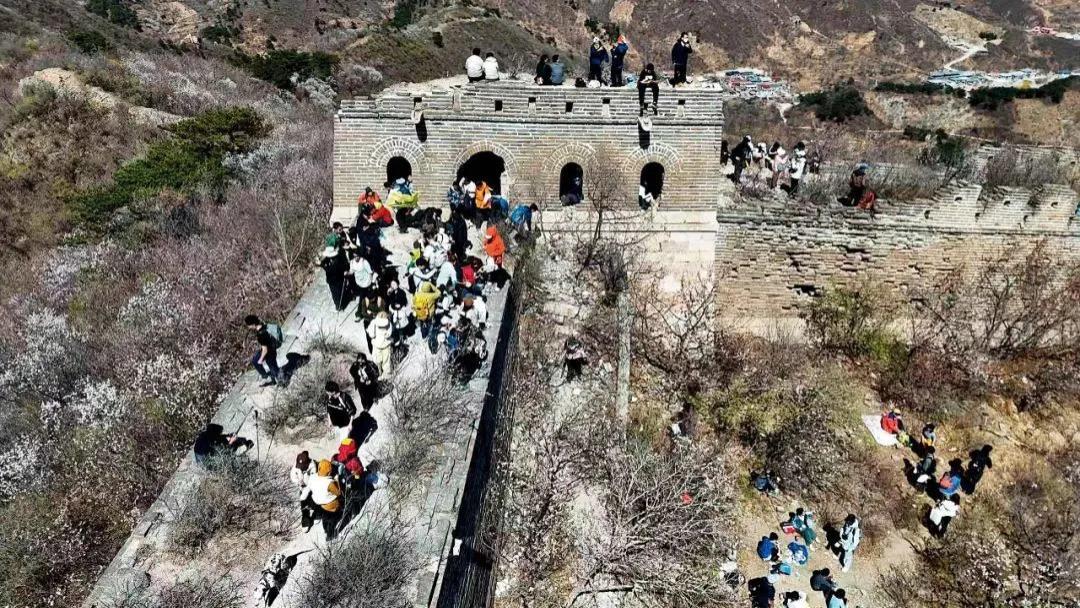 野长城之痛：当历史褶皱被踩进尘埃