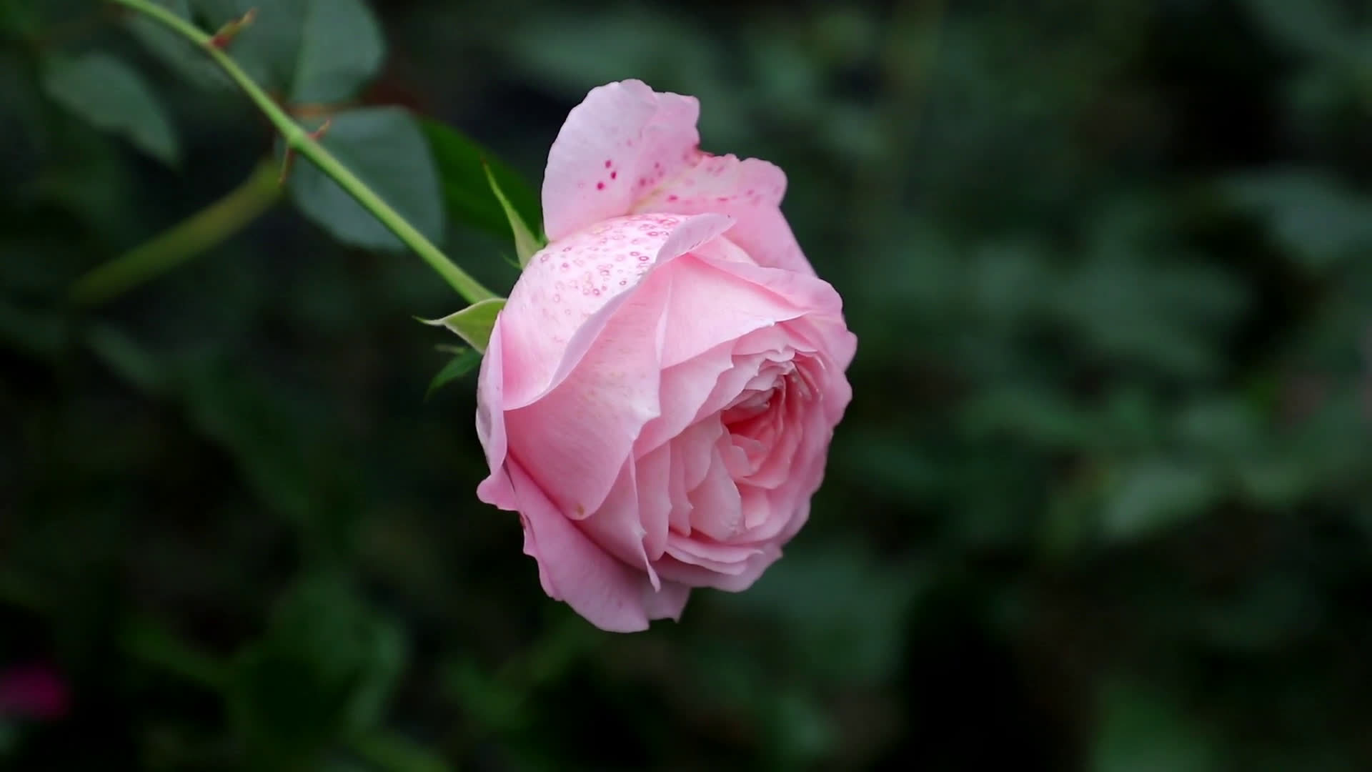 不要在小事上，反复的纠缠