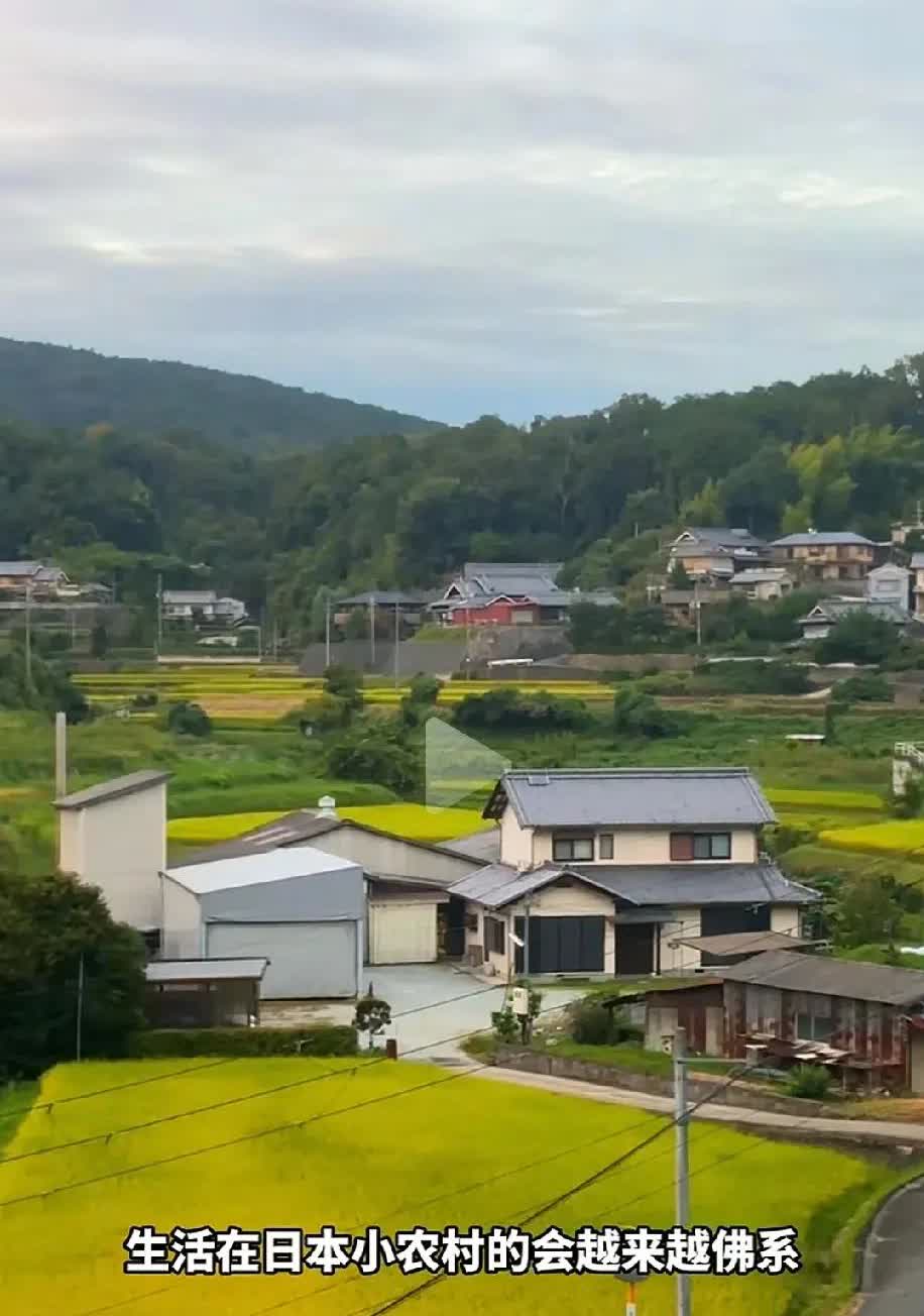 日本人在家里藏尸体很正常。他们的房子都很大。
这事一定不是发生在像我们中国居住