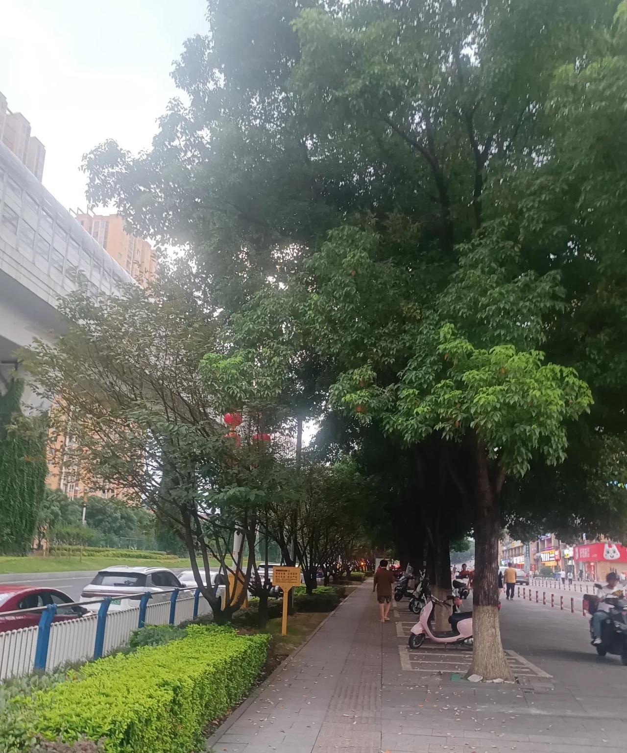 中考一考完，就有自称名校高中的老师联系我，让我给班上的学生讲一讲暑假培训衔接高中