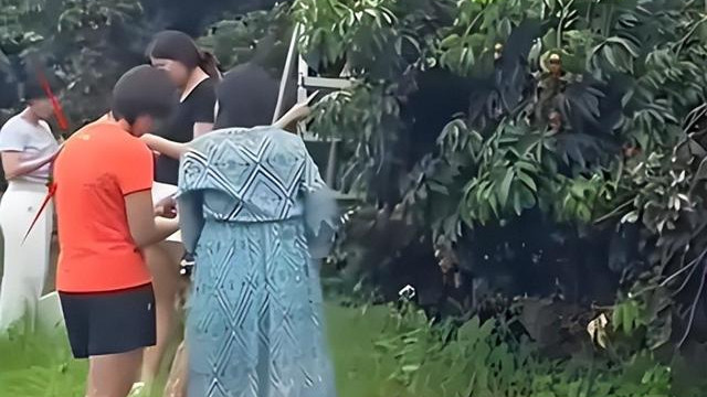 有网友认为全红婵的哥哥是为了蹭妹妹的流量，到底是否是网友说的那样呢？