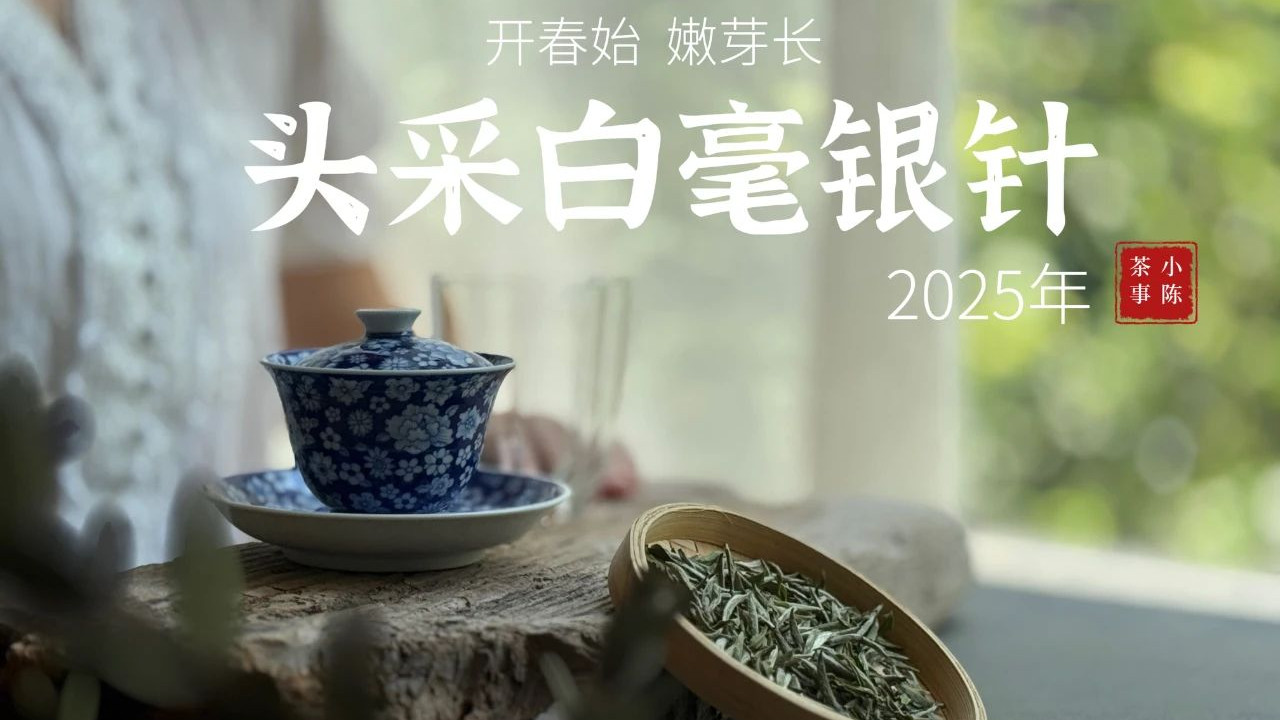 白毫银针这么淡，凭什么卖这么贵？为什么越淡的茶反而越贵？