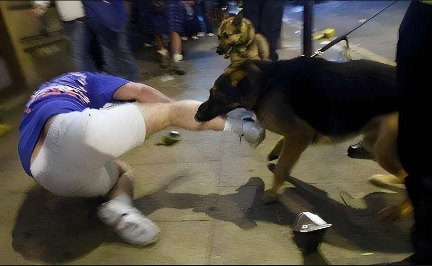 “严查到底！”乌鲁木齐，男子在公园突然被一条没栓绳的狗咬伤，为了自保，他捡起石头