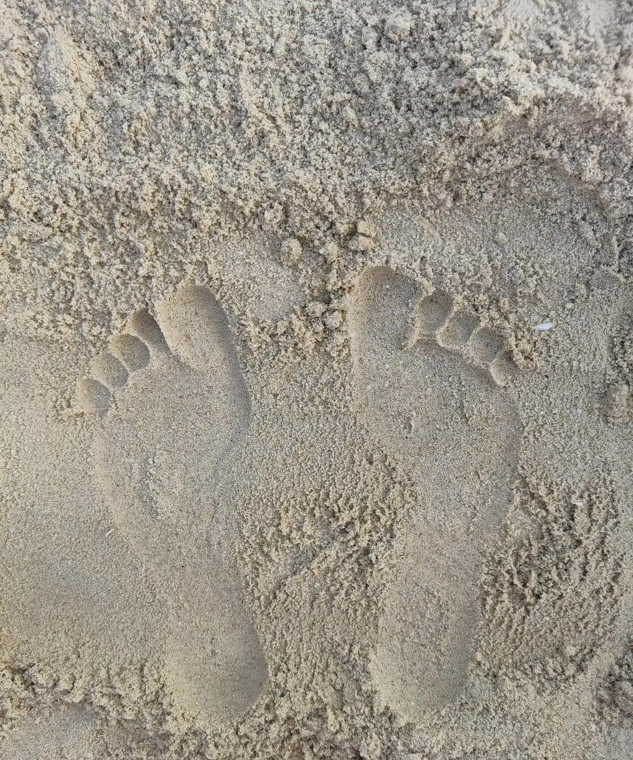 #夏日生活打卡季#
