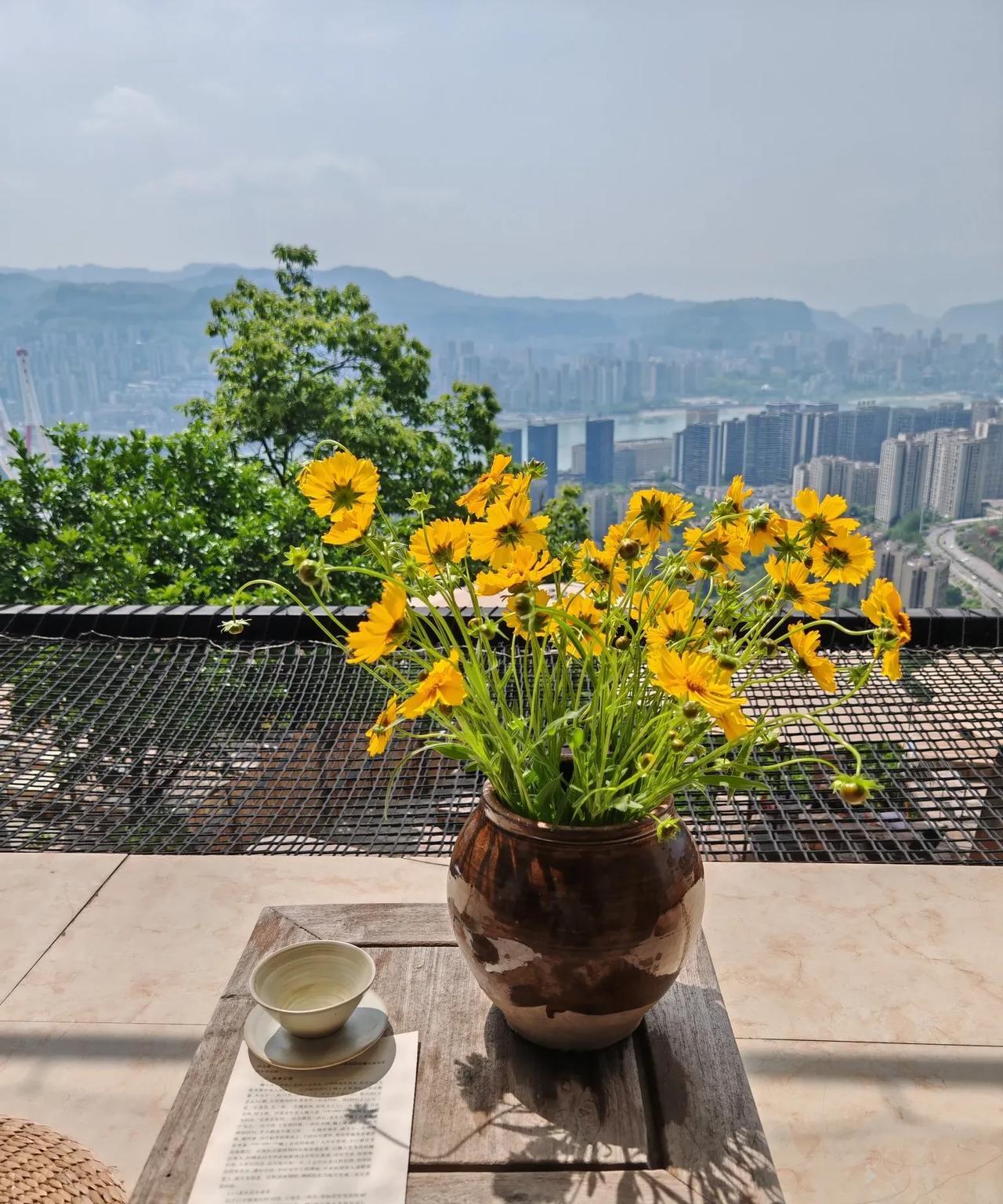 #把你随手拍的花分享出来吧#静静的享受阳光的炙热