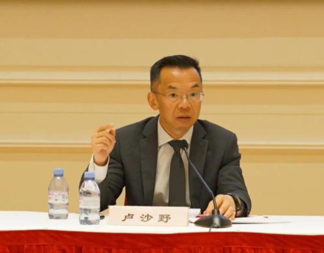 美欧出现裂痕，中国有可乘之机？卢沙野的回答相当霸气

在今年的两会上，前不久刚刚