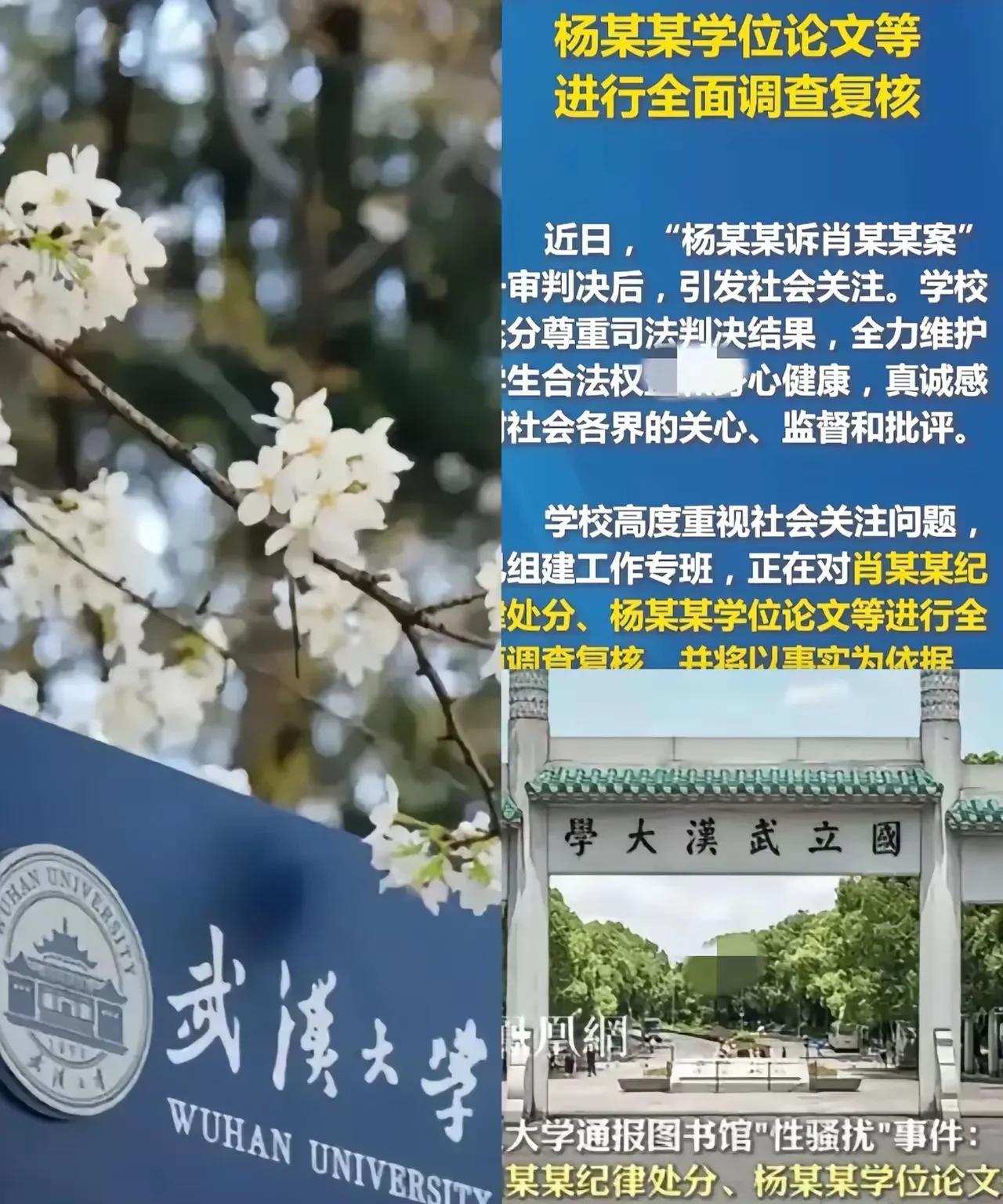 武汉大学杨景媛打响“咬人”第一枪！直接放出和辅导员的对话录音！原来这就是她说的握