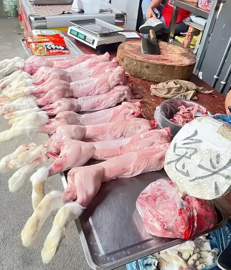 听说没有一只兔子，能活着离开四川的，真的是这样吗？
兔子，作为一种常见的动物，已