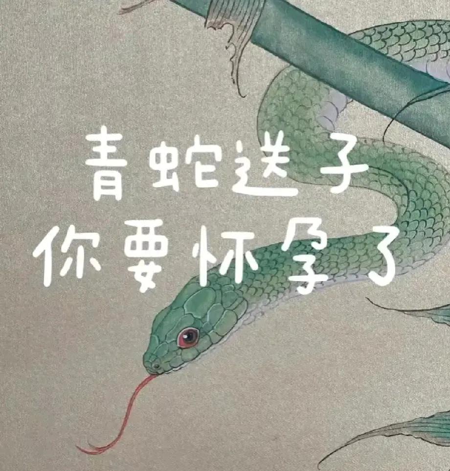 青蛇现世送好孕，备孕姐妹接福气！评论区打出  接好孕
备孕的轻松好孕，没孕的速速
