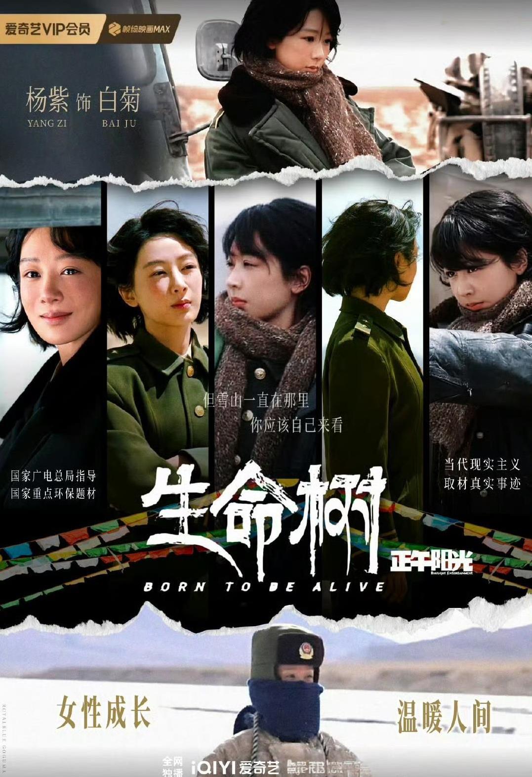 料！哈哈！明天10:30又可以看到新鲜的杨紫白菊了，想念的心无处安放！稳稳的幸福