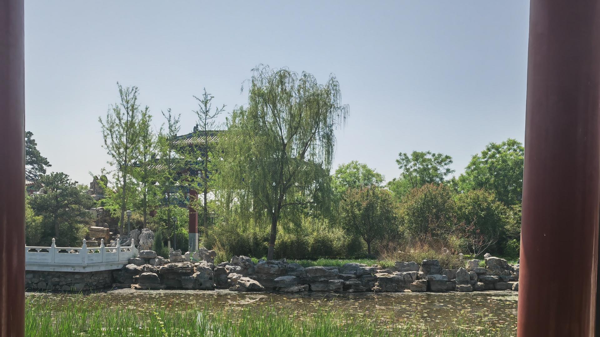 2025乙巳蛇年每日通盛及各生肖运势10月26日