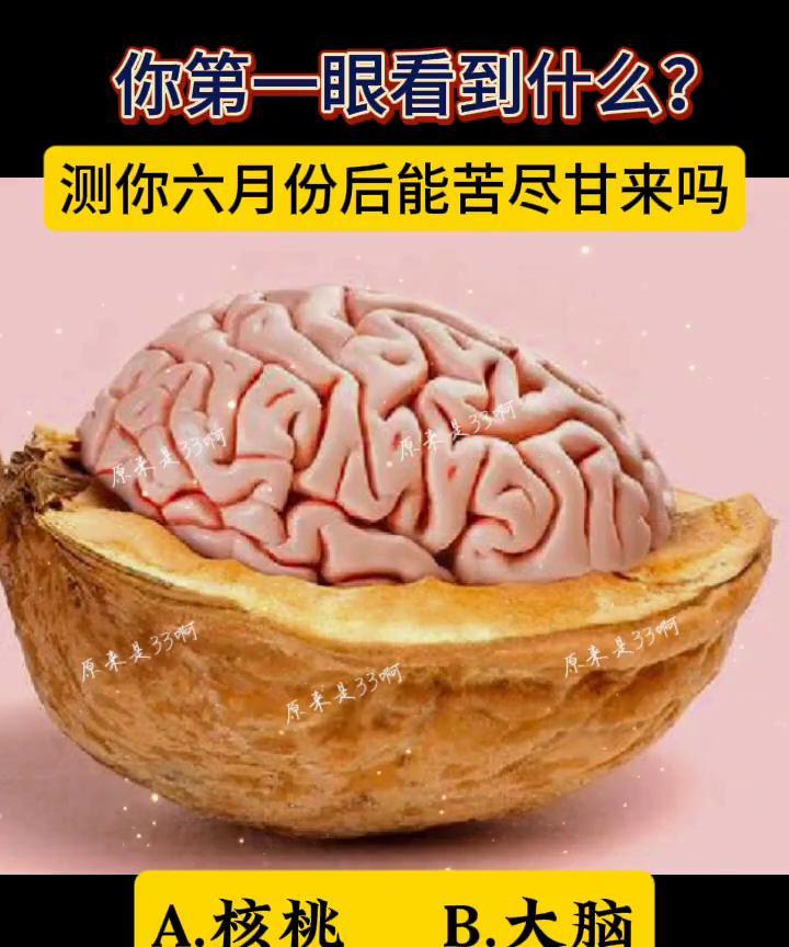 你第一眼看到什么？测你六月份后能苦尽甘来吗？
A.核桃；B.大脑。