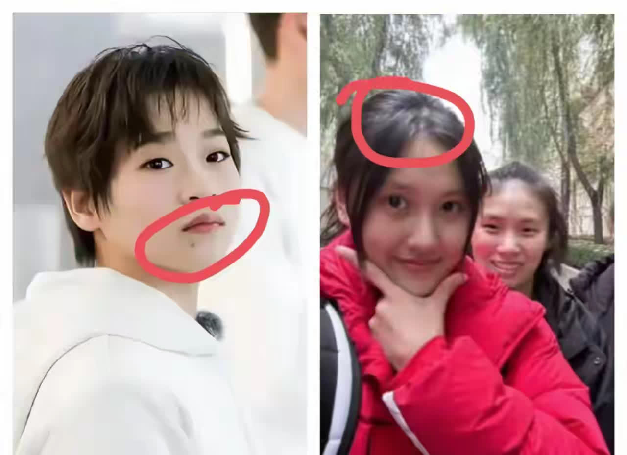 全红婵上次比赛3次拿银牌，我不慌张； 
她因旧伤退出跳水冠军赛，我也不慌； 
