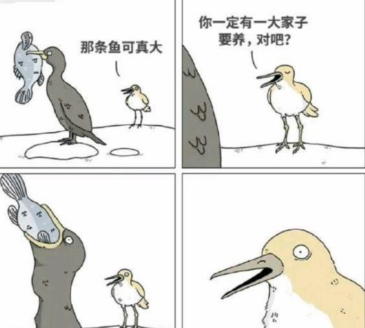 一图胜千言