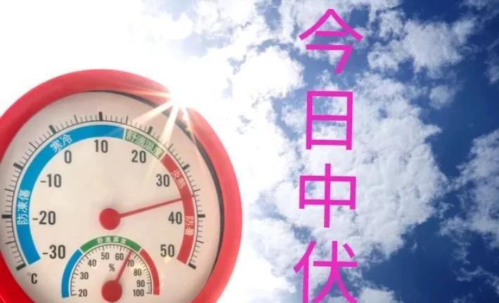今日入中伏，今年中伏有3个坏消息和2个好消息
今天我们当地窗外的知了很早就出来鸣
