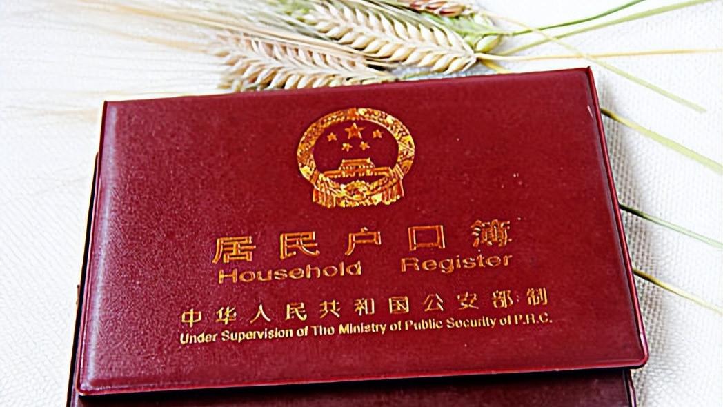 2025年5月1日大变革！农村户口迁回大门全面打开！