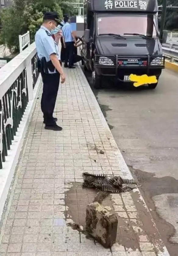 这手气也太好了吧，简直就是钓鱼界的传奇啊！