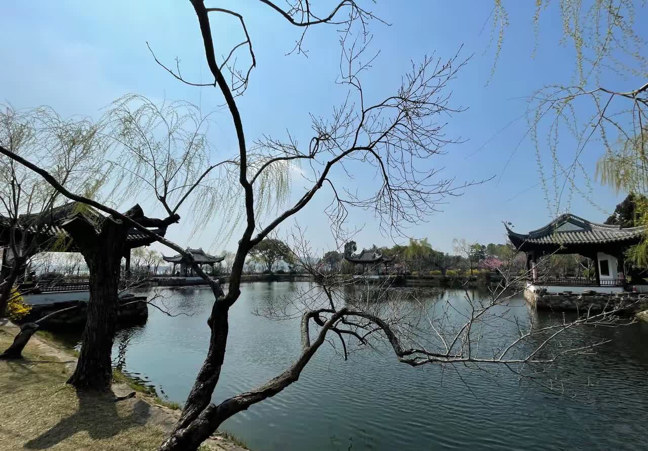 前几天饭后我打车去了蠡园。原以为能在这春光明媚的日子里，尽情欣赏江南园林的独特韵