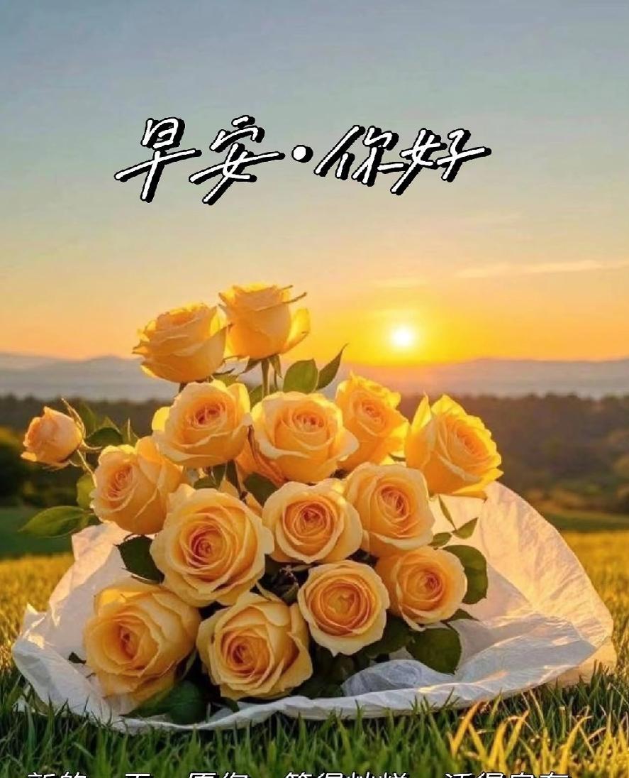 [玫瑰]早上好[玫瑰]
新日初升，好运开篇！
把福气、运气、财气统统打包，
塞进