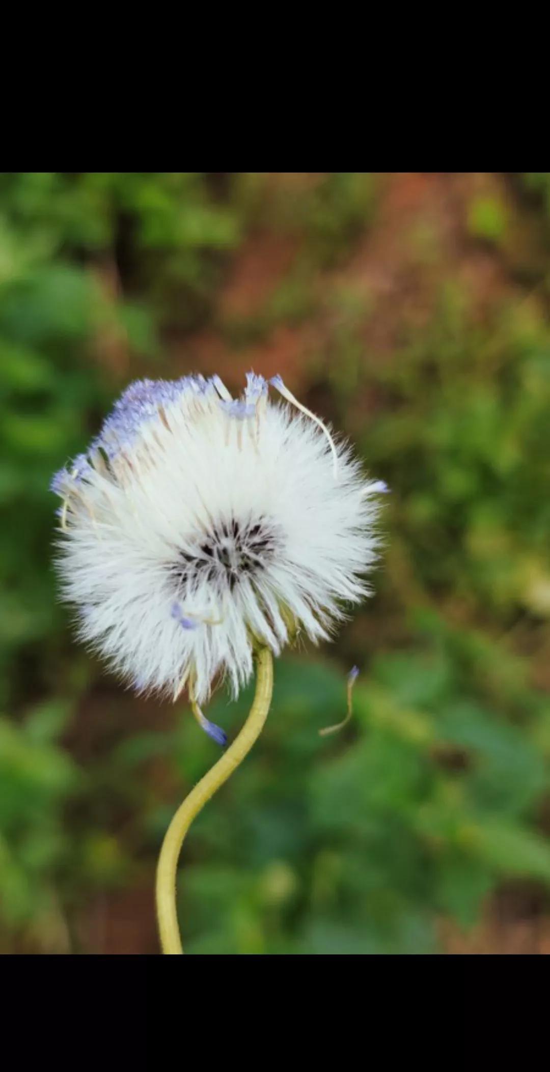 近期，欧洲一反常态:法、德“上窜下跳”，伙同英国“抱团取暖”。北约也没闲着，直接