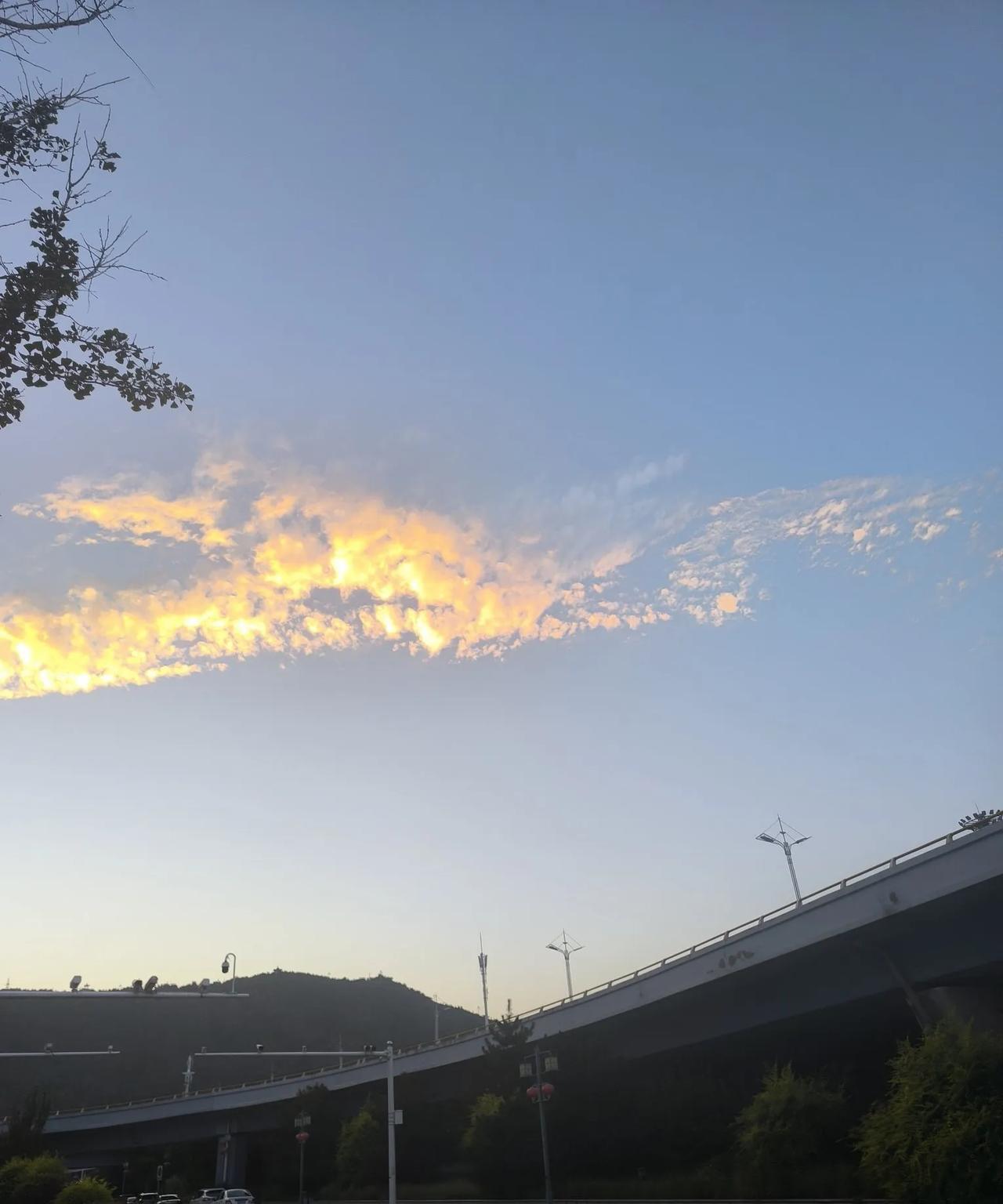 喂狗三天
记你好三年
为人好三年
记你三天
真正体会到了
人性的可恶
就是如此