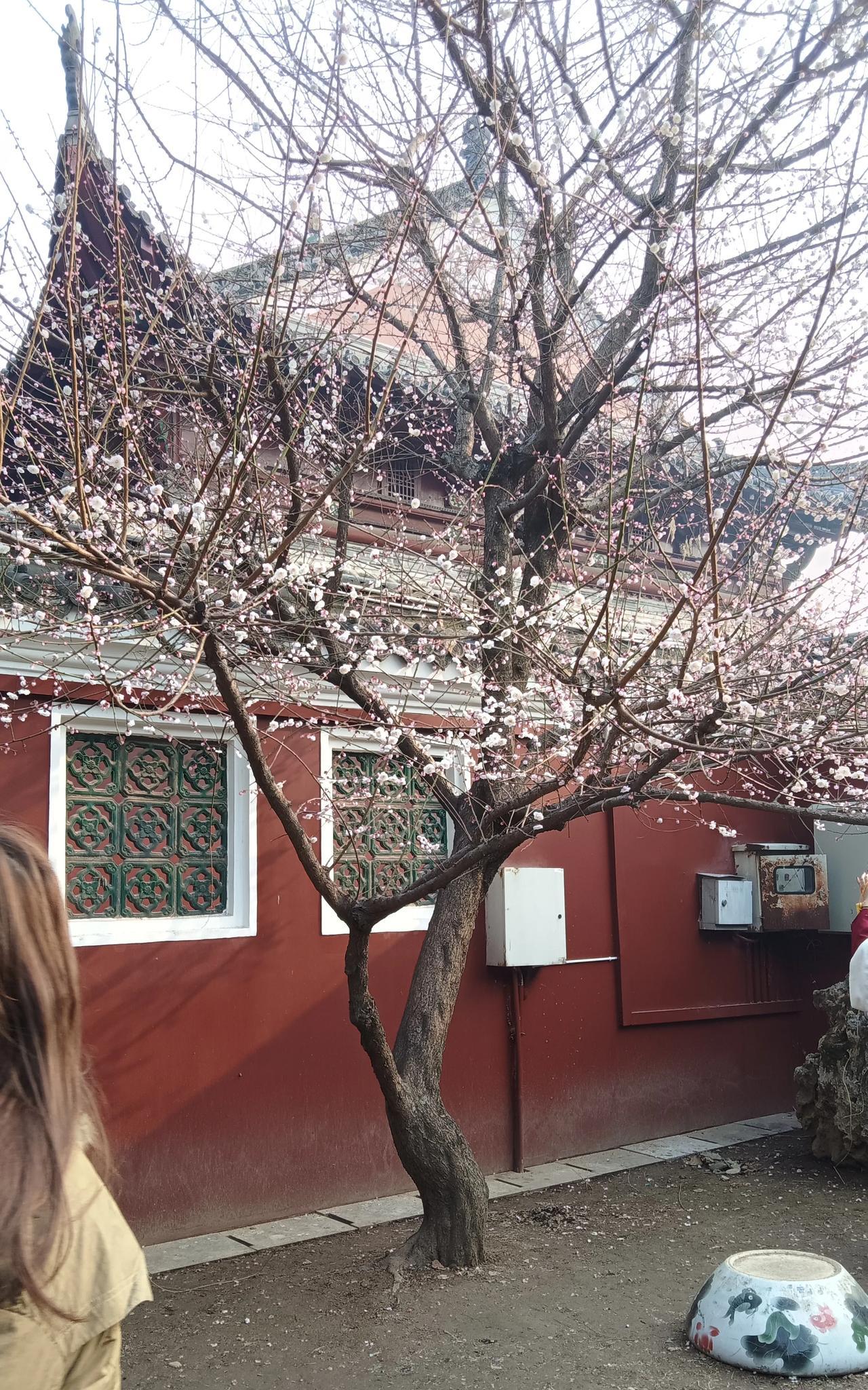 八十年代改革开放的时机业已成熟，国内疾风暴雨般的阶级斗争已然成为过去，社会环境日