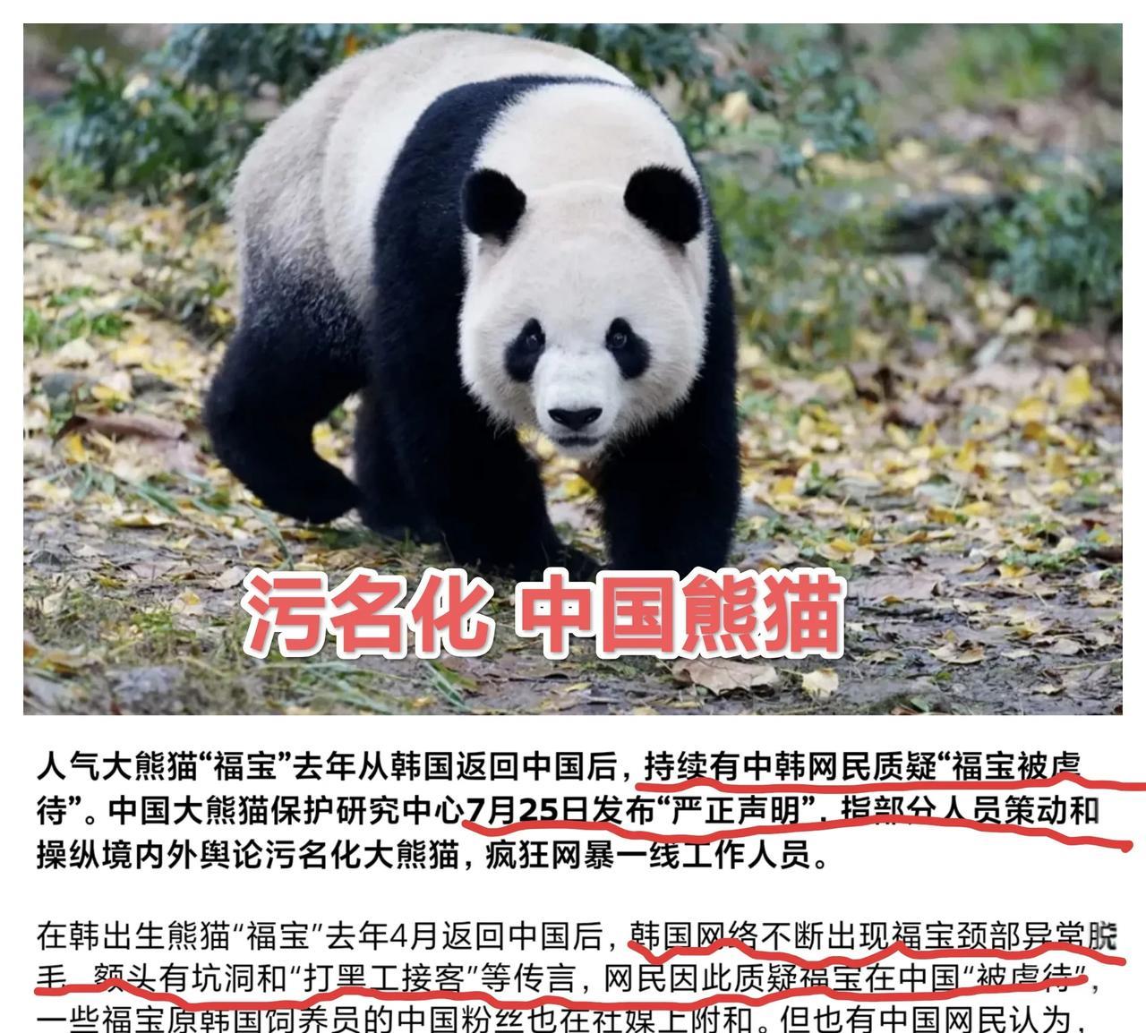 “八卦旗”的国民污名化中国大熊猫，网暴工作人员！这个“渣民族”真是如此仇视中国？