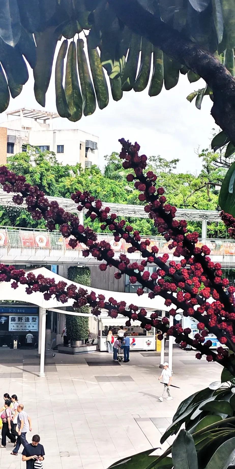 在深圳打工，我就羡慕深圳以外的广东人。
为什么呢？因为他们在本省，离家近呗。
想
