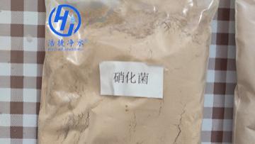 反硝化细菌正确使用方法如下