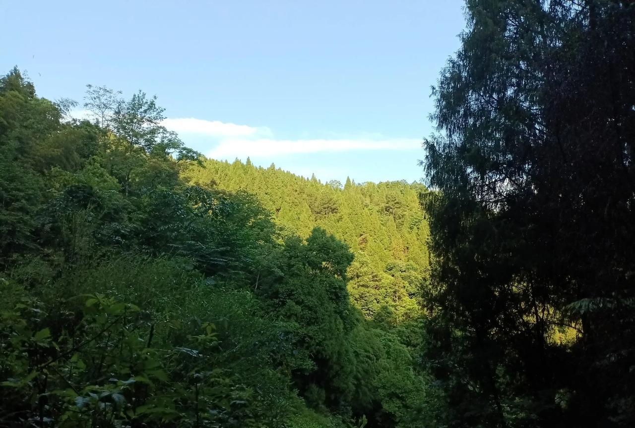 昨天完全没有写一个字，
因为没时间，
被人约去打牌了，
突然觉得打牌上瘾了，
别