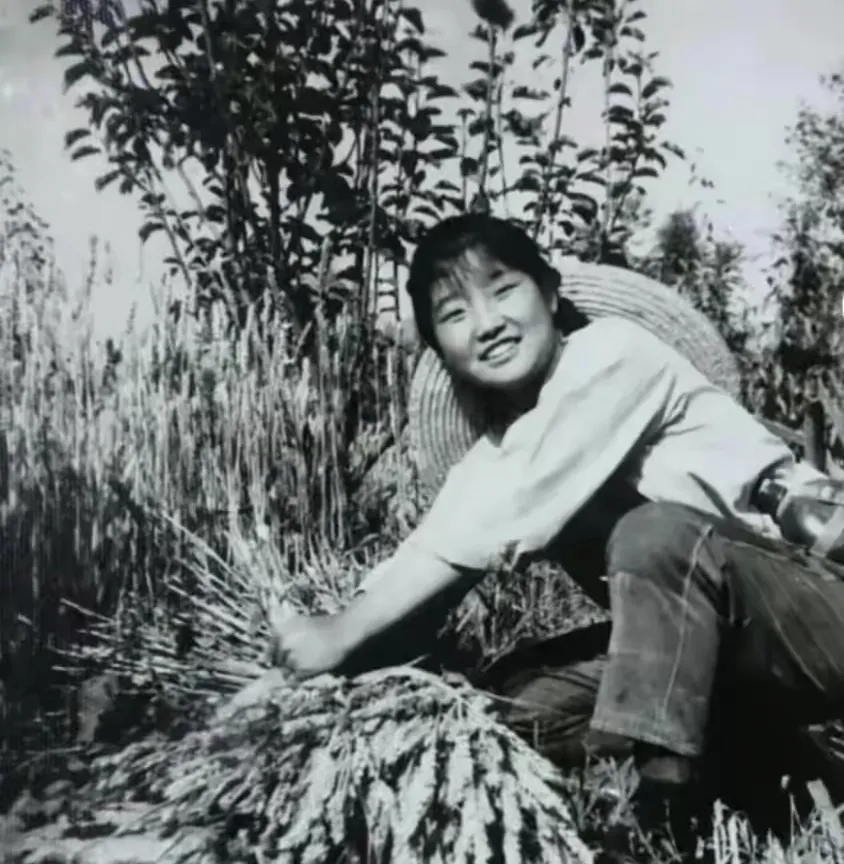 1970年，知青王璐为报答救命之恩，嫁给了当地的农民。谁知，新婚夜她刚躺下，就被