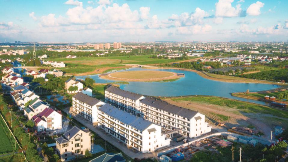 上海东领推荐——金山乡村振兴：太平村的三产融合密码