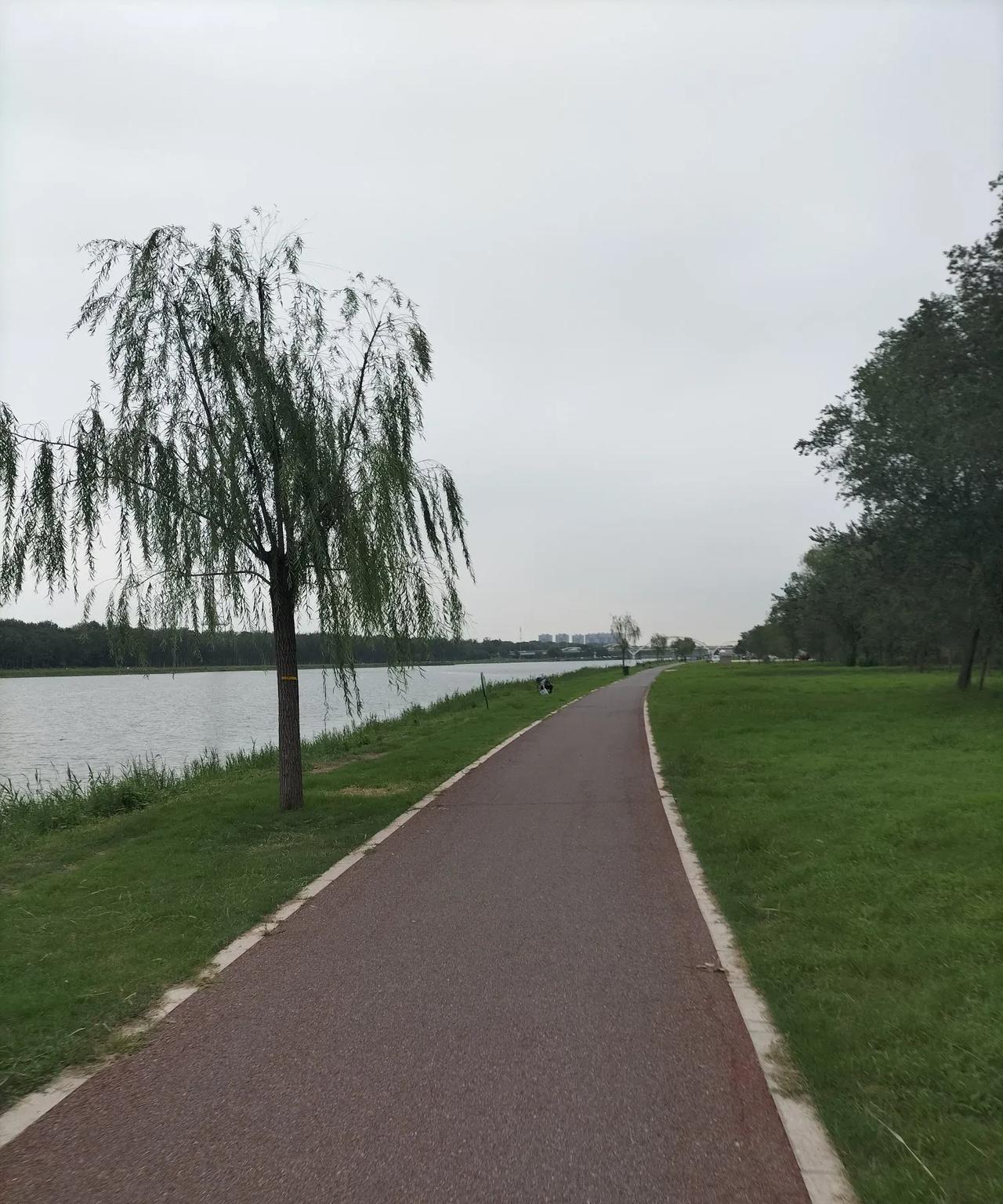 昨天传达大哥说我暑假胖了二十斤。一个暑假也没称体重，今天早晨上秤称了称89.5，
