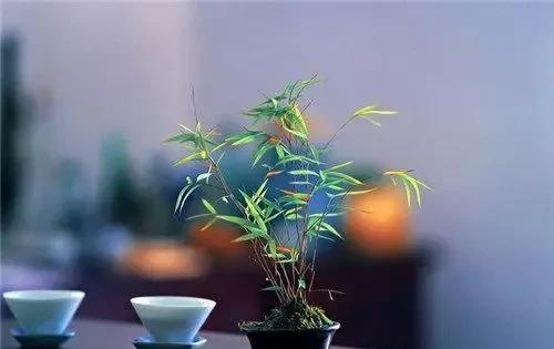 尼采icon有段话，太适合最近的一些人一些事了：