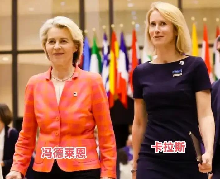 欧盟正加紧制裁，包括东大的公司
伟人曾说过，女性顶半边天。
但对于欧盟来说，这两