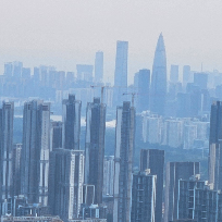 无痕近地飞