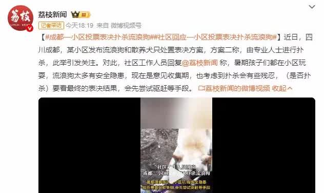 冲上热搜！成都一小区投票表决扑杀流浪狗的通知讨论激烈。小区工作人员说暑假到了，孩