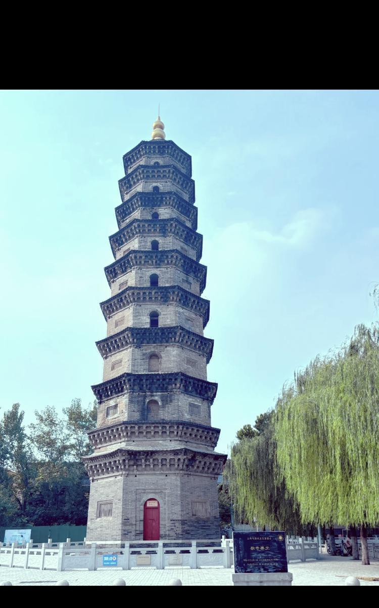      我老家山东金乡啊，那特产可是声名远扬，就像夜空中最亮的星一样耀眼。金乡