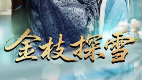 短剧《金枝探雪》：97 集深宫迷局中的人性微光
