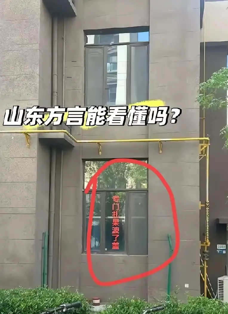 谁懂？
这家干啥的？
专门干啥滴
