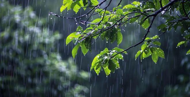 #天津天气# 市区今天上午多云转阴有小雨，下午中雨，前半夜阴转多云，后半夜多云转