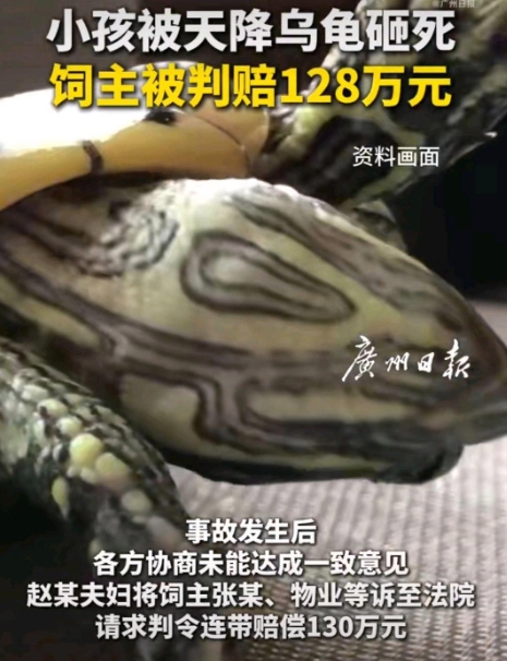 孩子在小区玩耍，突然一个黑影从天而降，不是鸟粪，也不是落叶，而是一只活生生的乌龟