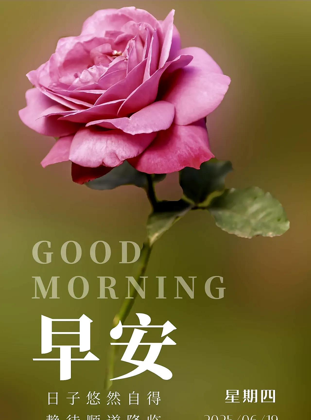感恩美好相逢，感谢清晨清凉。人间百态，悠然最美；喧嚣散去，平淡最真。欣赏风的轻柔