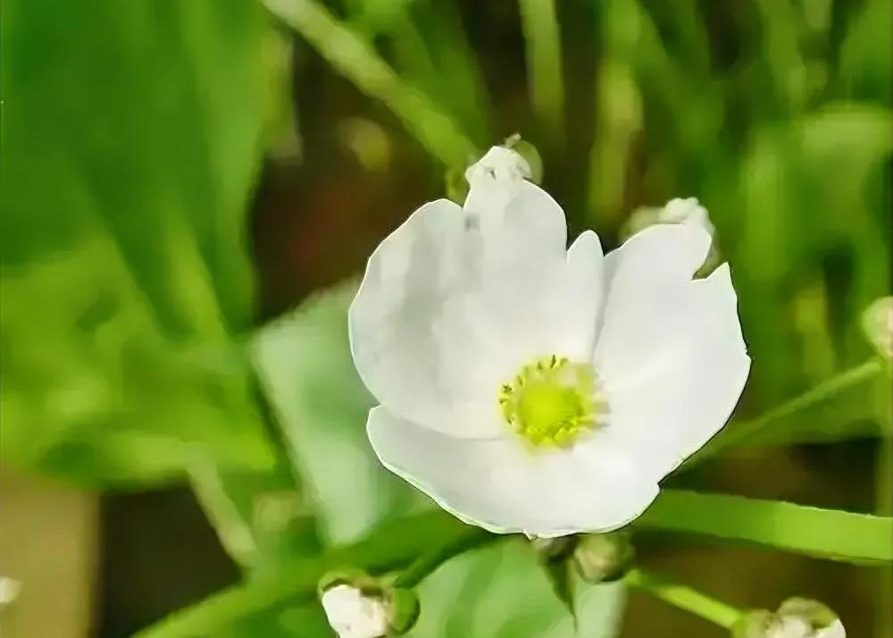 父母存钱不是留给娃花的，是给娃垫底气的。
最近听同学说他爸在银行又存了一笔钱，他